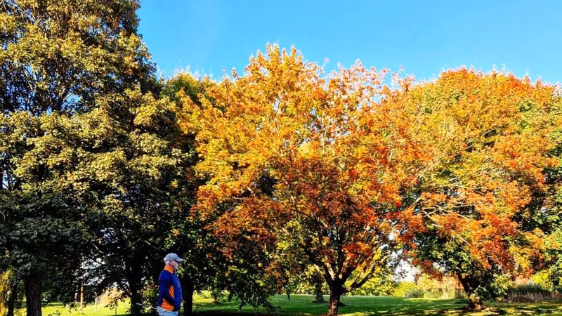Schöne Runde gestern Nachmitta...