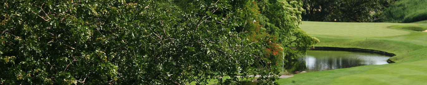 Alfred Dunhill Championship