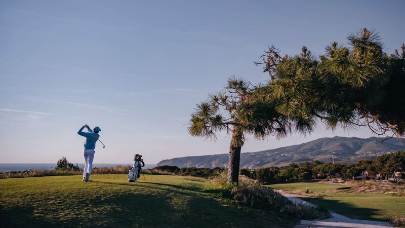 Galvin Green: The sky is the l...