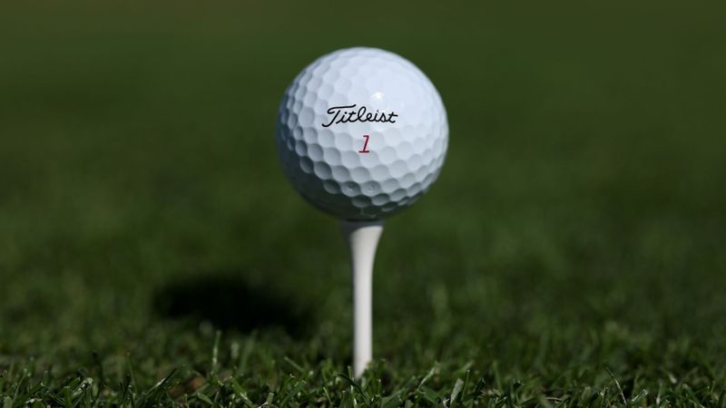 Golfbälle von Titleist dominie...