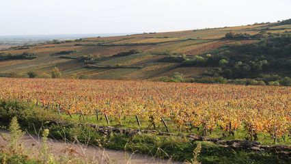 Bourgogne-Franche-Comté