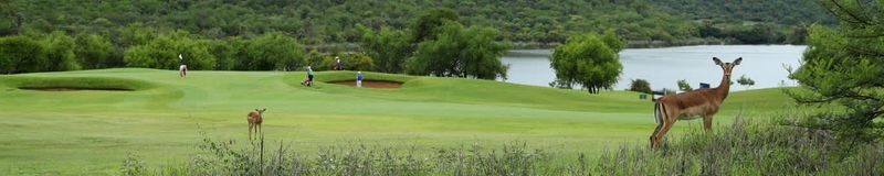 Nedbank Golf Challenge