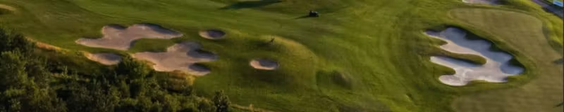 D+D Real Czech Challenge