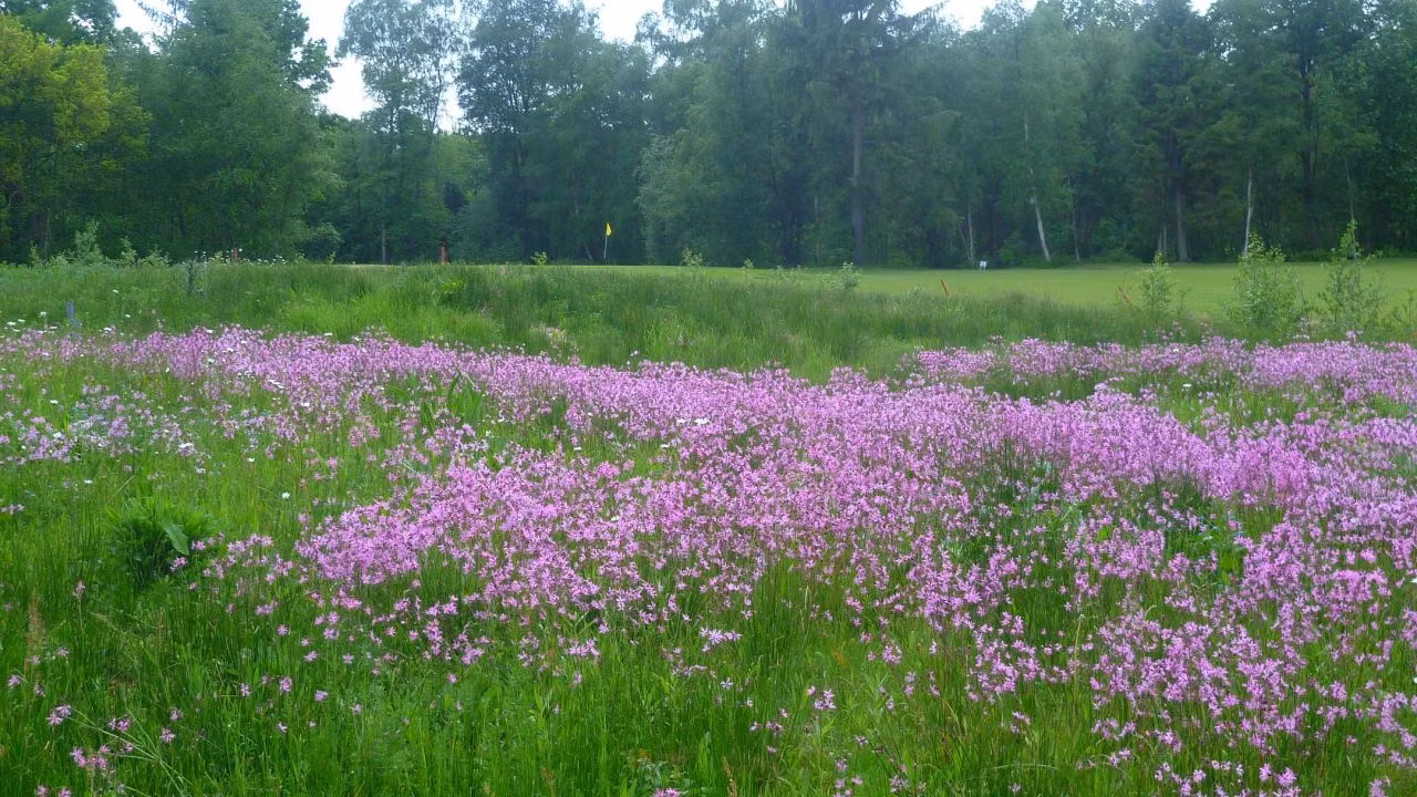 Golfclub Gutshof Papenburg-Aschendorf