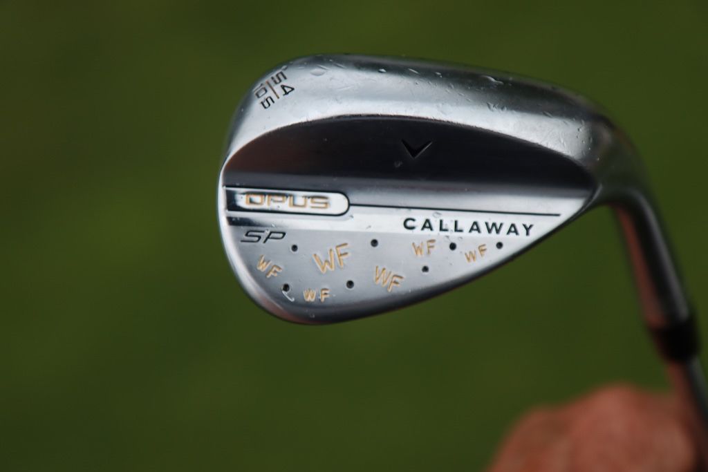 Custom Club Stamping Trends: What LPGA Players Are Choosing - Golf Post