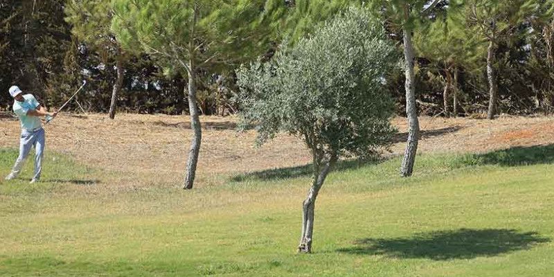 Gehen Sie auf Reisen mit Golf...