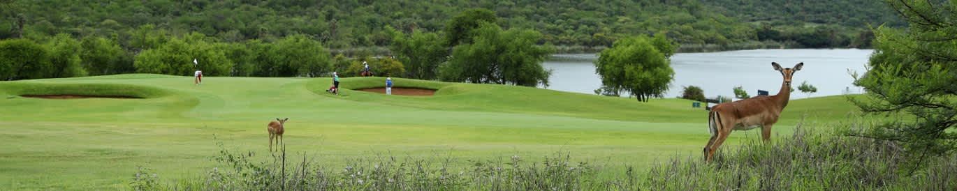Nedbank Golf Challenge