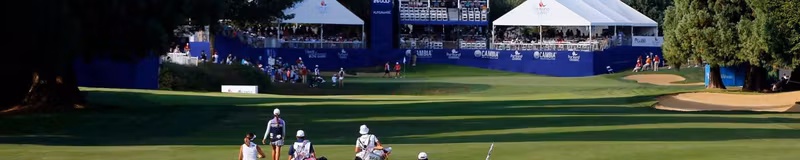 The Standard Portland Classic