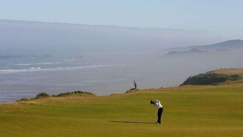 Die Wiesen der Wirtschaftsgröß...