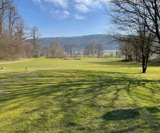 Training, Übung und Spiel