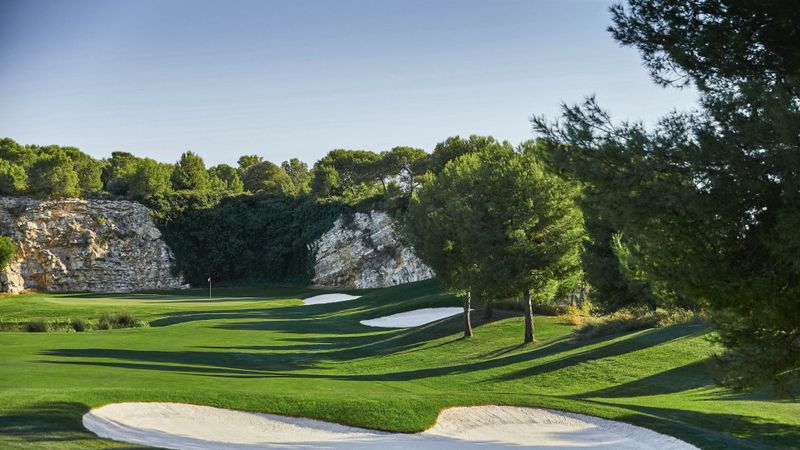 Transformation auf höchstem Ni...