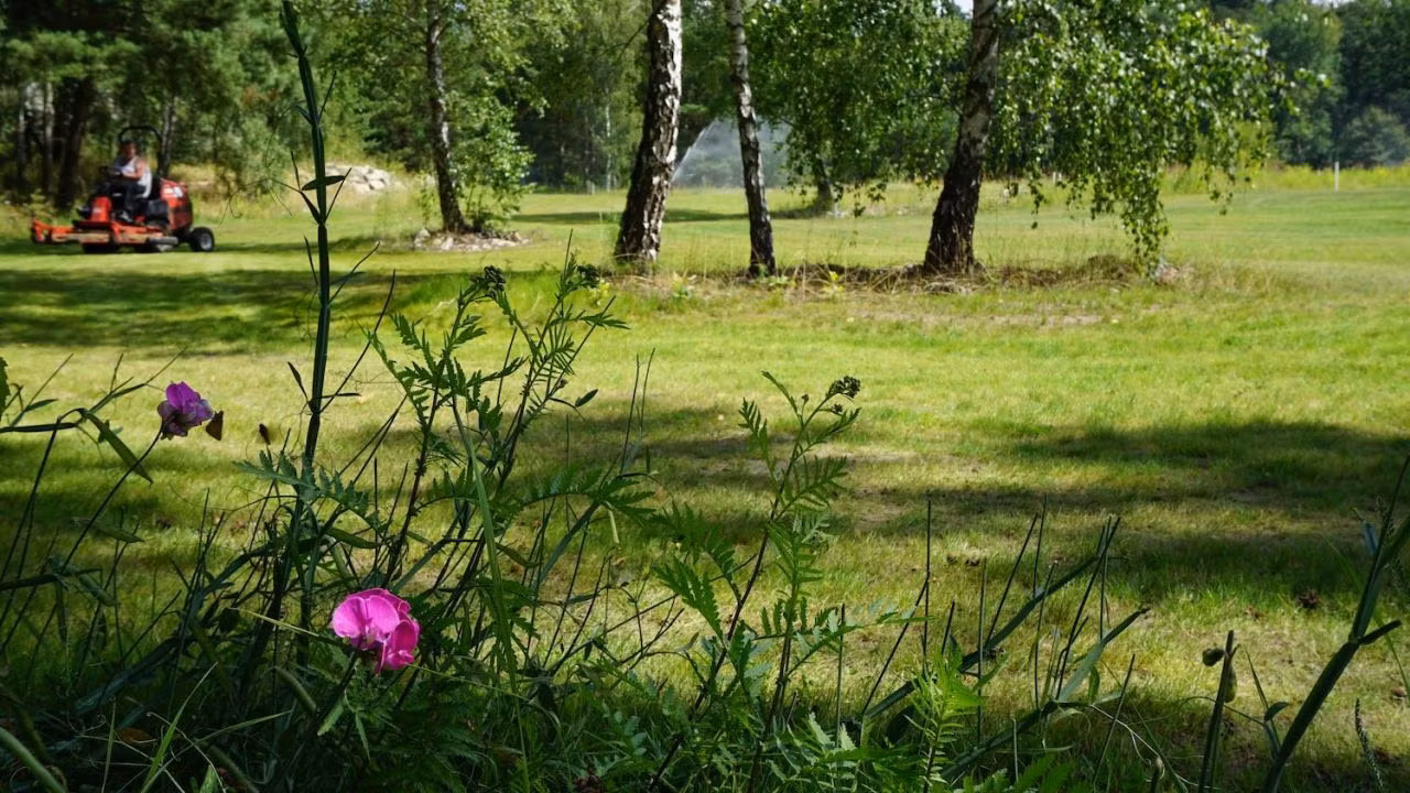 Country Golf Wiesenburg