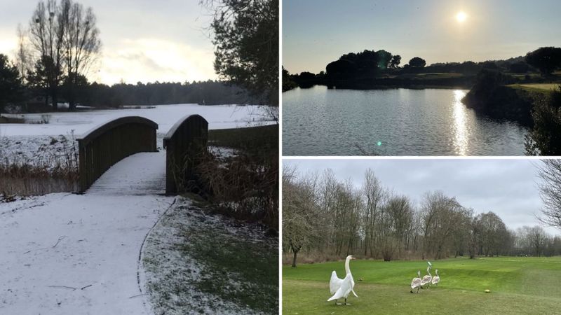 TV-Auftritt, Urlaub, Tiere und...