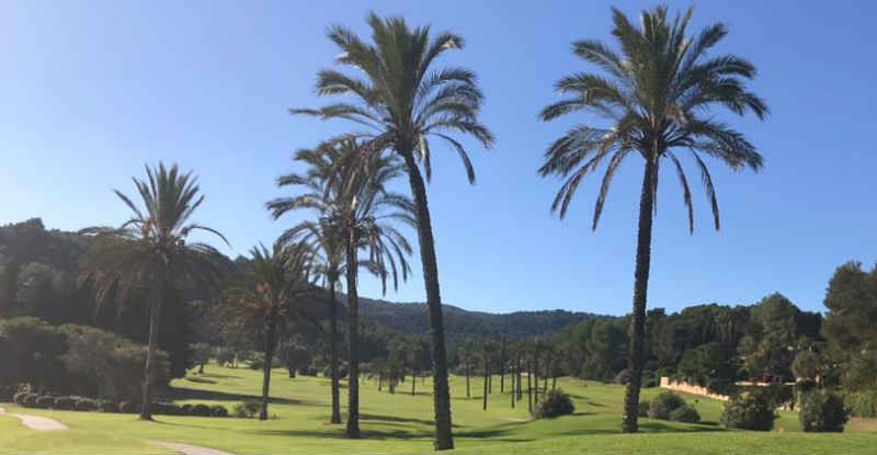 Mallorca im Winter - Fünf Golf...