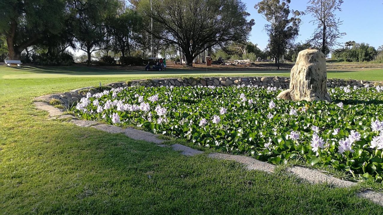 Oudtshoorn Golf Club