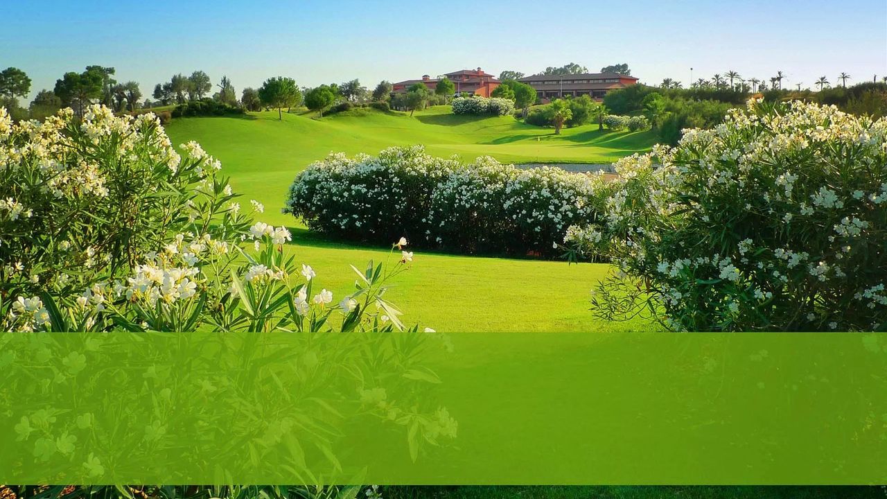 Club de Golf Hato Verde