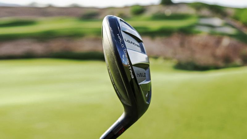 Hybrid - das Beste aus zwei We...