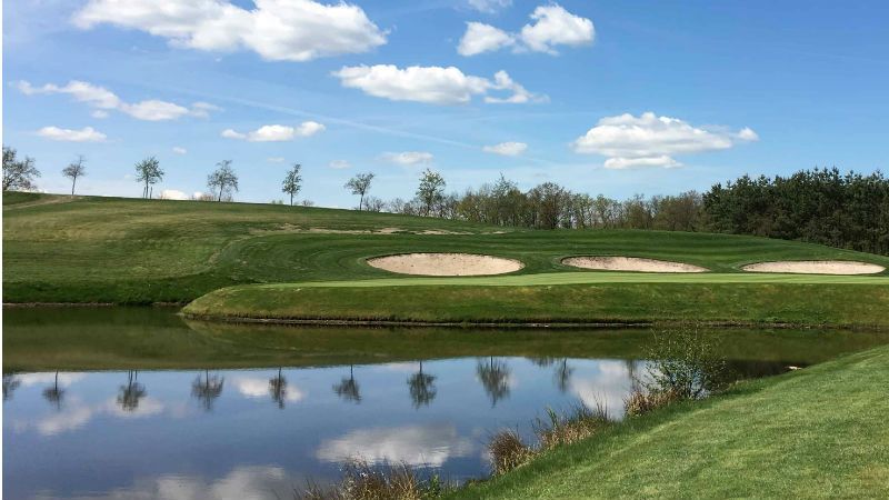 Green Eagle: Eine Mischung aus...