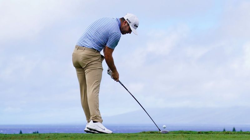 Hölzer und Hybride - auf die S...