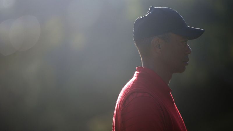 Tiger Woods für World Golf Hal...