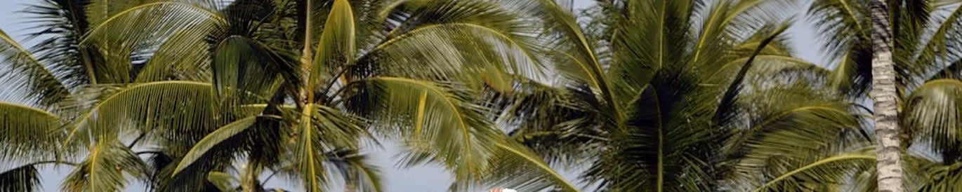 Mitsubishi Electric Championship