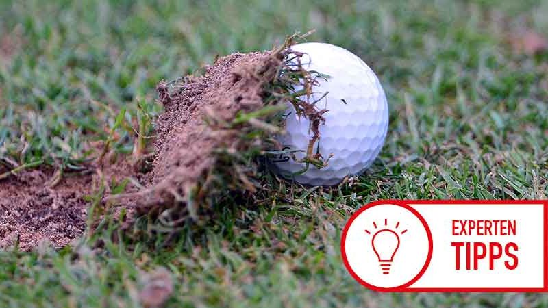 Was Ihr Divot über Sie aussagt