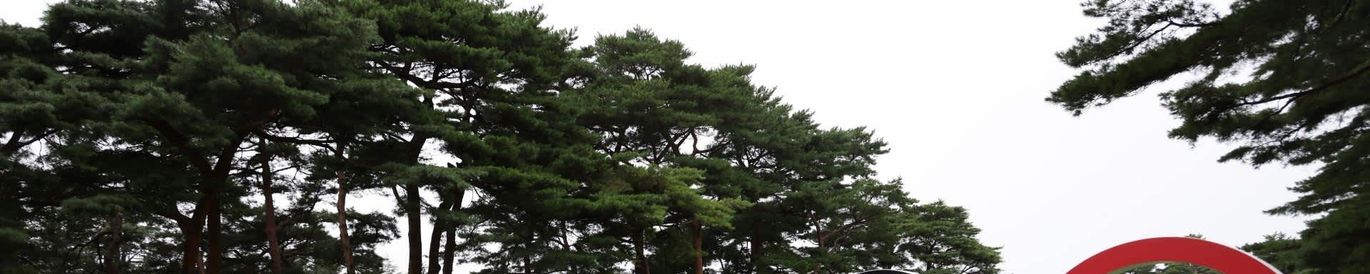 Tokyo 2020 Olympic Games