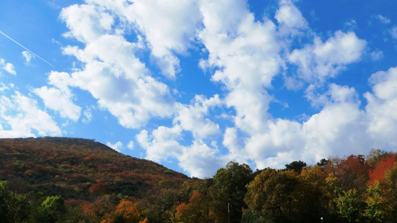 City & Country Golfclub Richardhof