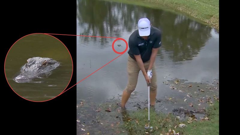 PGA Tour: Spieler steigt zu la...