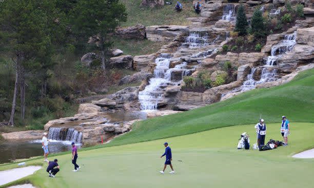 Atemberaubende Bilder von Tige...