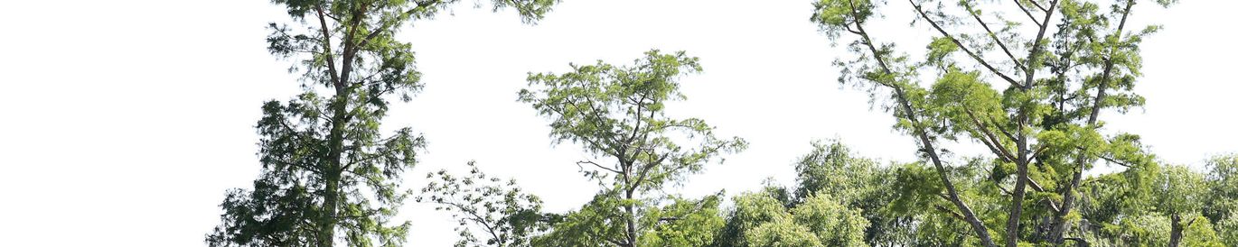 Zurich Classic of New Orleans [abgesagt]