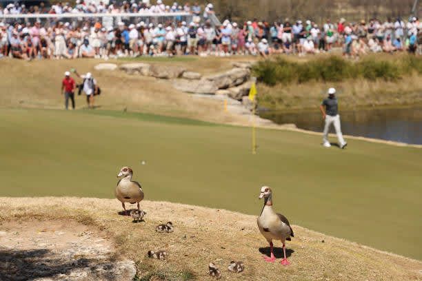 WGC - Dell Match Play: K.O.-Du...