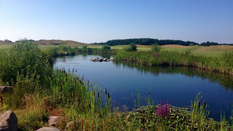 Golf mit neuer Hüfte: Von eine...