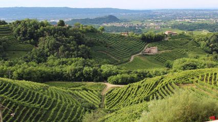 Friaul Julisch Venetien