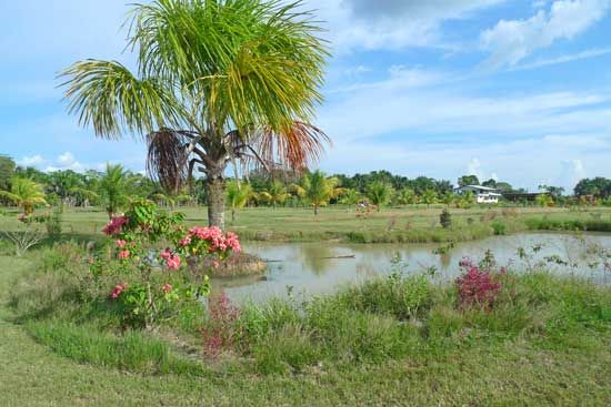 Der Amazon Golf Club – Golfen...