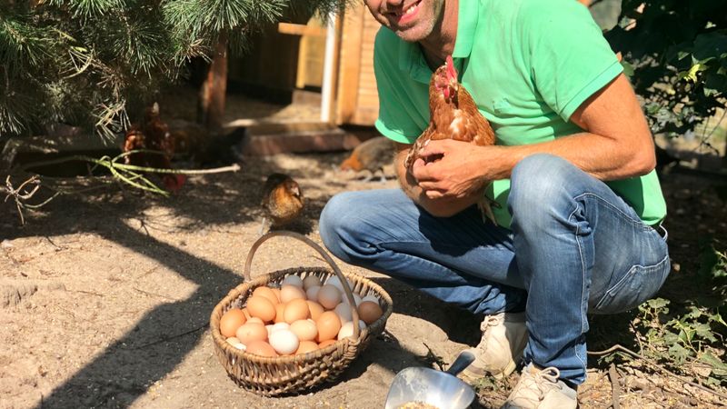 „Green Eagle Nature“ – Eine Go...