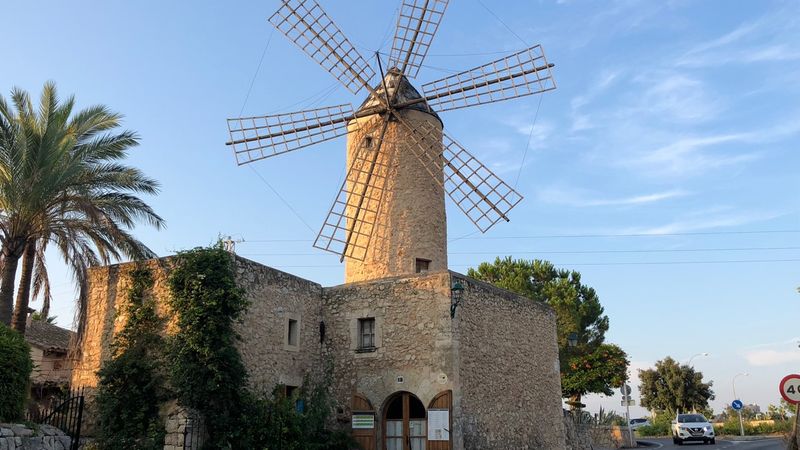 Mallorca auch im Sommer ein Pa...