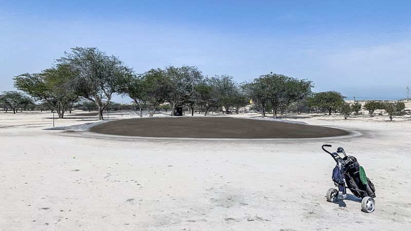 Awali Golf Club: Mit dem grüne...