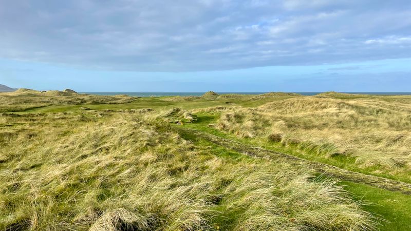 Von wegen schwarzes Schaf: Mac...