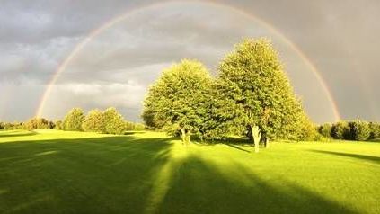 Öffentliche Kölner Anlage