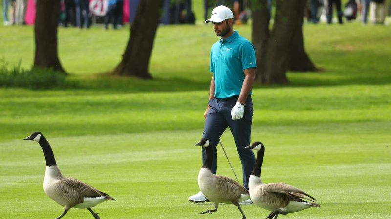 "The Belfry" öffnet seine Tore...