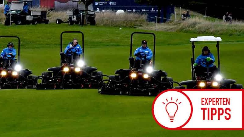 Trockenmähen: Qualität und Zuf...