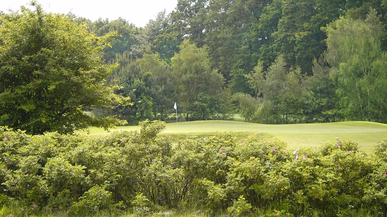 Warendorfer GC An der Ems