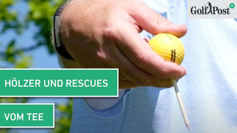 Hölzer und Rescues - vom Tee