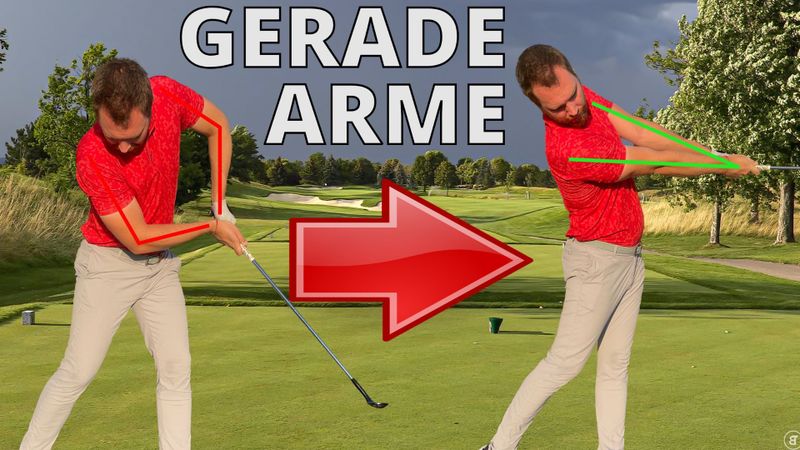 Birdietrain: In drei Schritten...