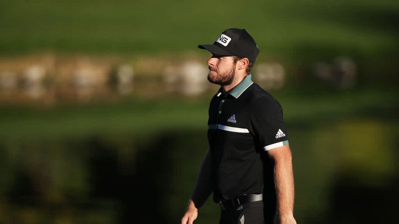 Birdies über Birdies im sonnig...