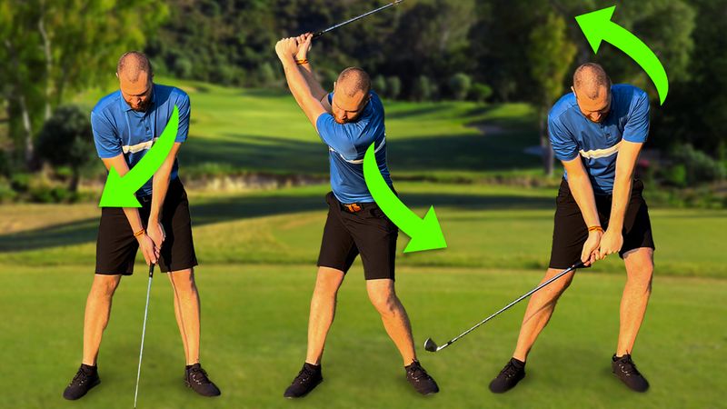 Birdietrain erklärt: Die linke...