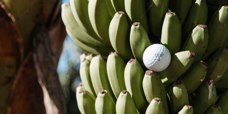 Vice Golf mit exklusivem Spons...