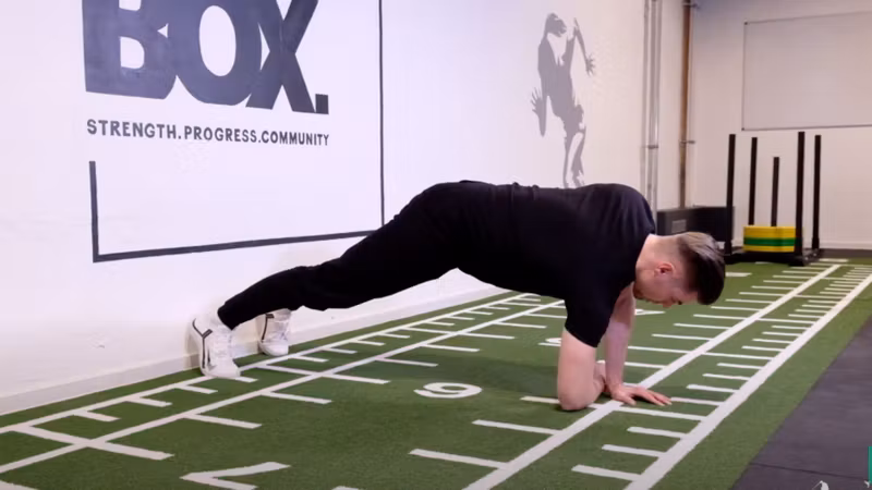 Explosivität und Schnellkraft...