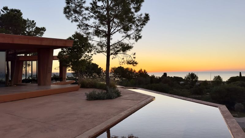 Persönliche Eindrücke vom Palm...